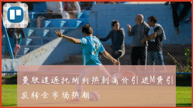 曼联追逐托纳利热刺高价引进M费引发转会市场热潮